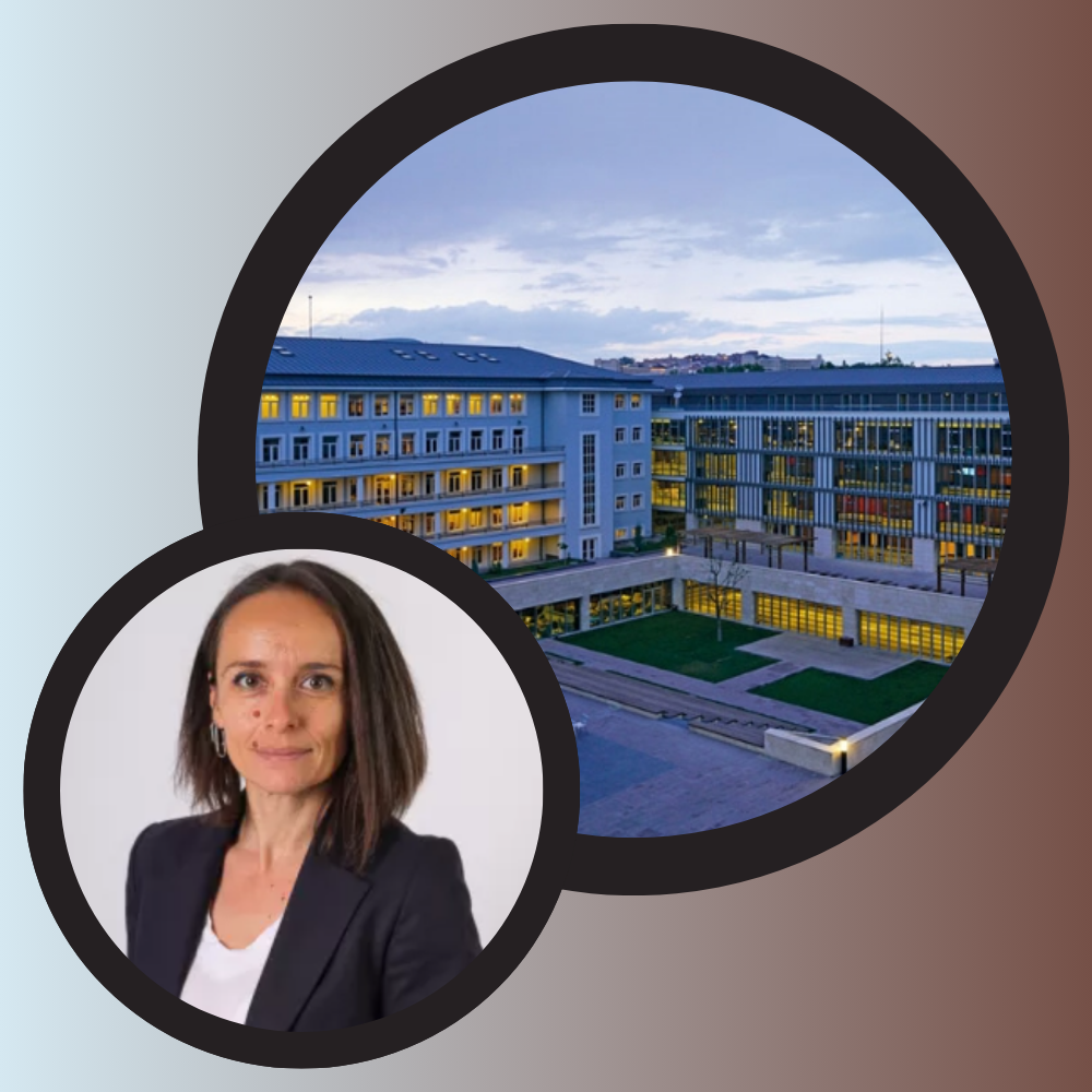 Doç. Dr. Hande Sözer'in TEDÜ Bilimsel Araştırma Projesi (BAP)