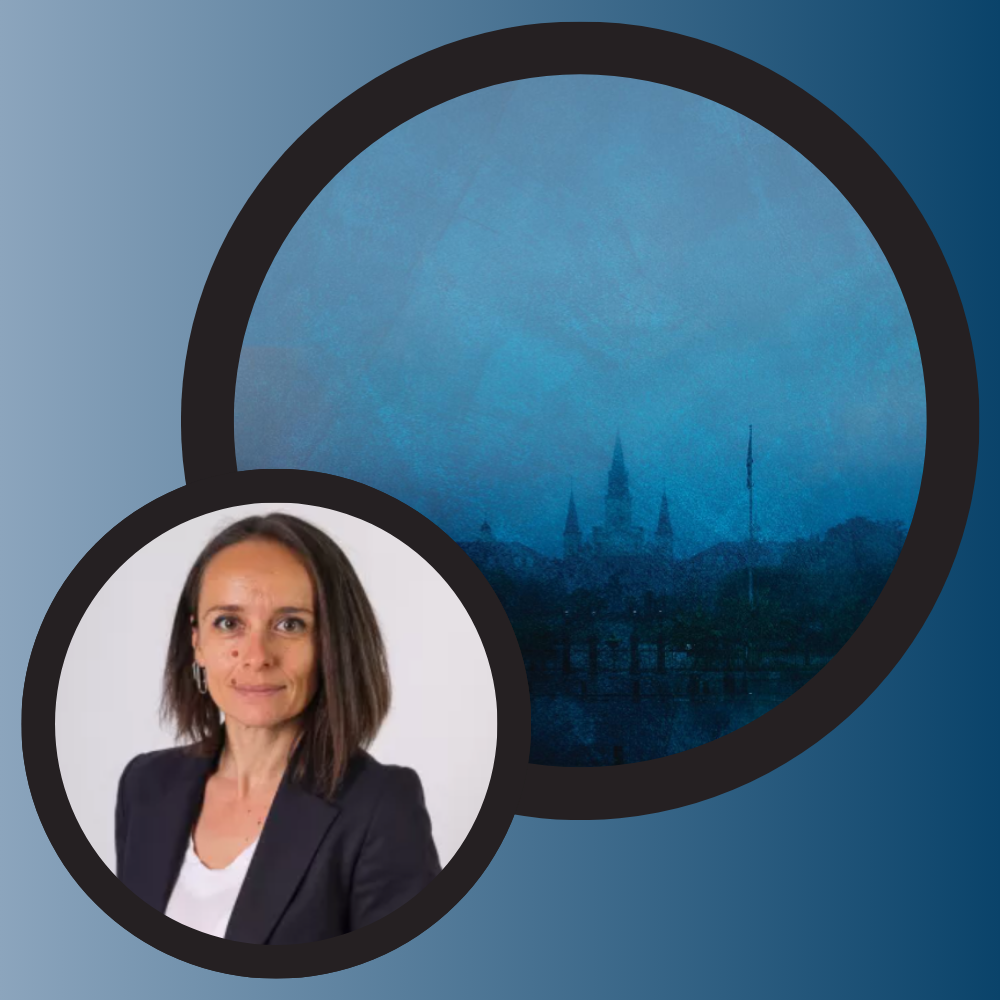 2025.11.14_Doç. Dr. Hande Sözer'in AAA Virtual Yıllık Buluşma 2025 Katılımı